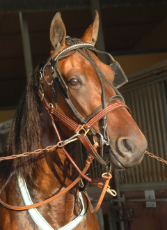 Quality Queastioned 140708-12